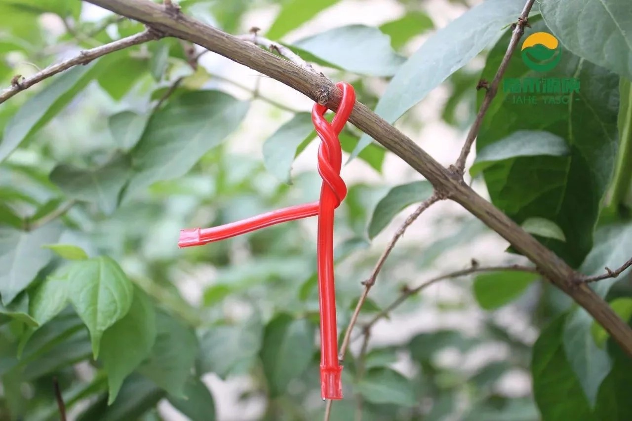 专业生产昆虫信息素性诱芯诱捕器