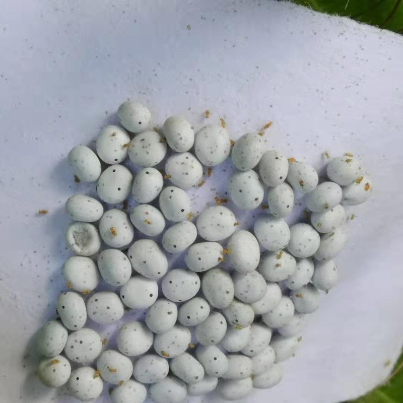 专业生产昆虫信息素性诱芯诱捕器