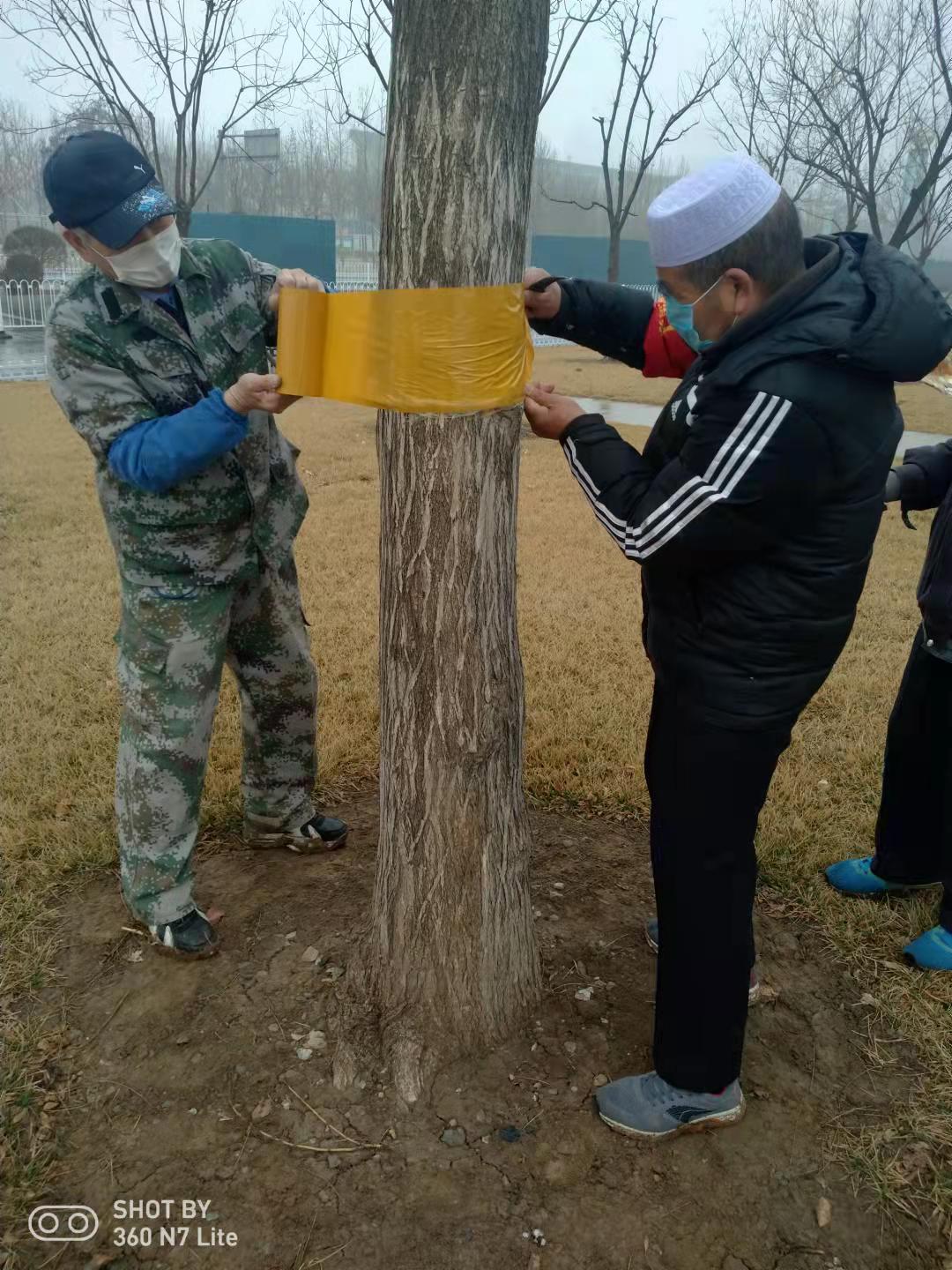 专业生产昆虫信息素性诱芯诱捕器