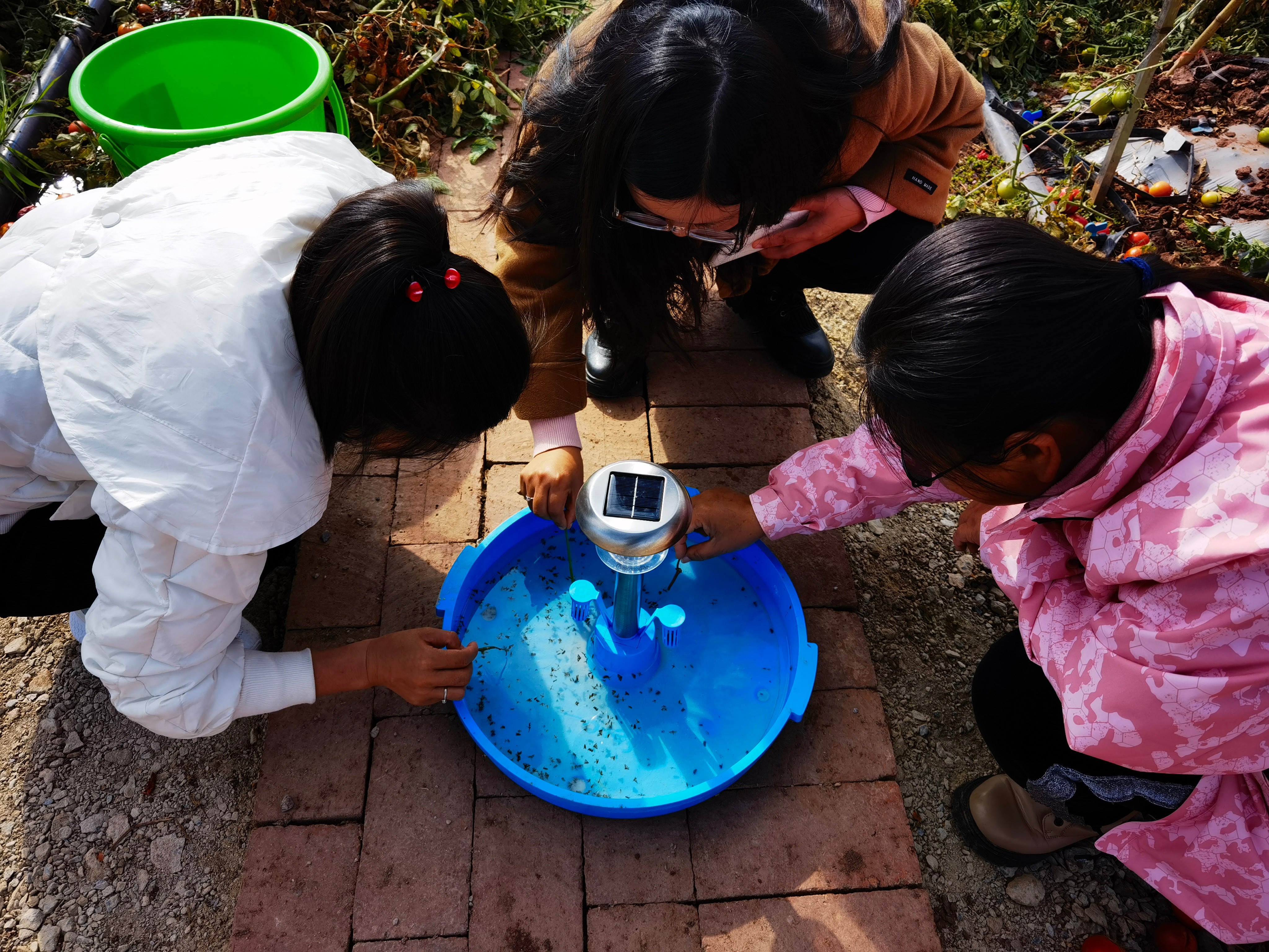 专业生产昆虫信息素性诱芯诱捕器