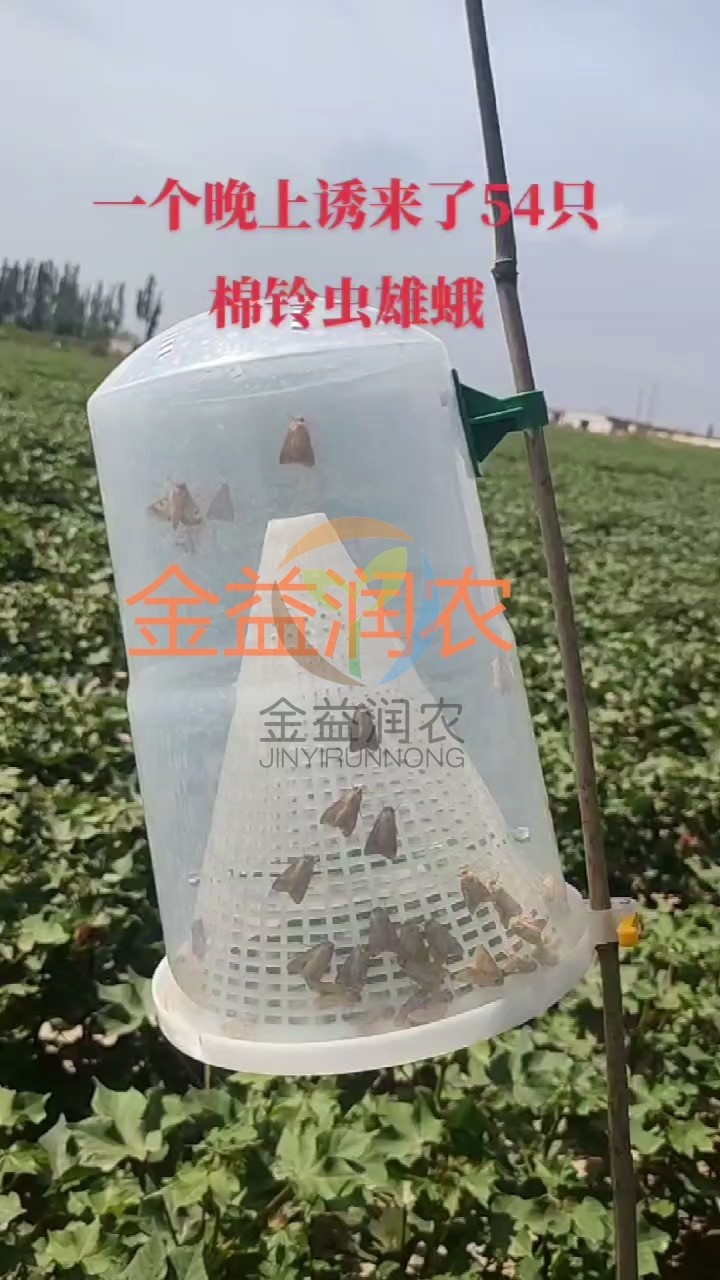 专业生产昆虫信息素性诱芯诱捕器
