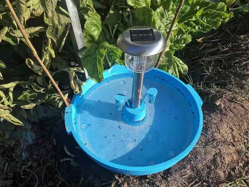 专业生产昆虫信息素性诱芯诱捕器