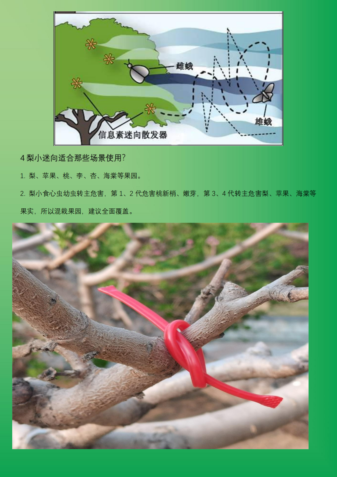 专业生产昆虫信息素性诱芯诱捕器