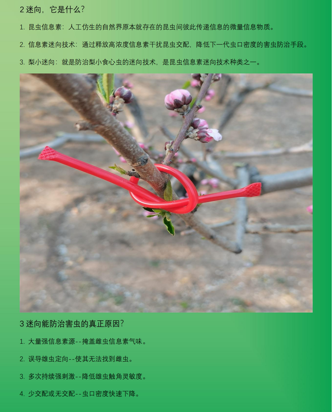 专业生产昆虫信息素性诱芯诱捕器