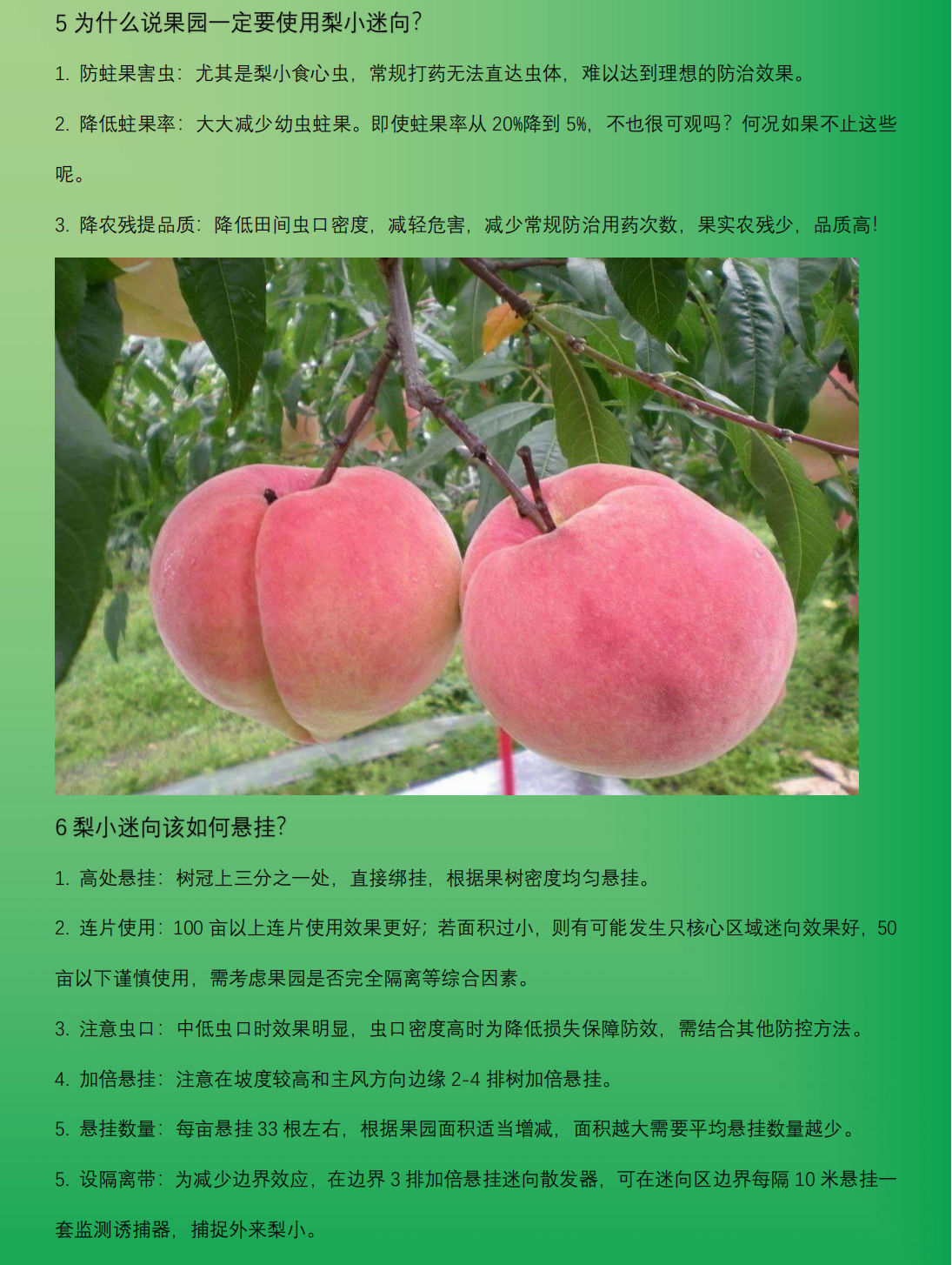 专业生产昆虫信息素性诱芯诱捕器