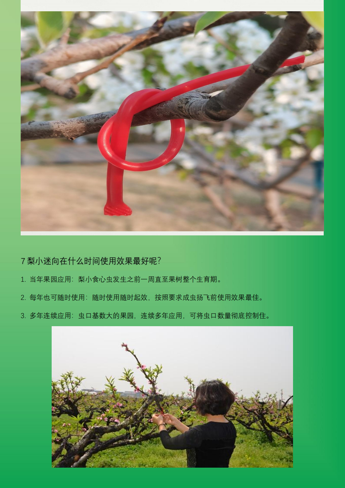 专业生产昆虫信息素性诱芯诱捕器