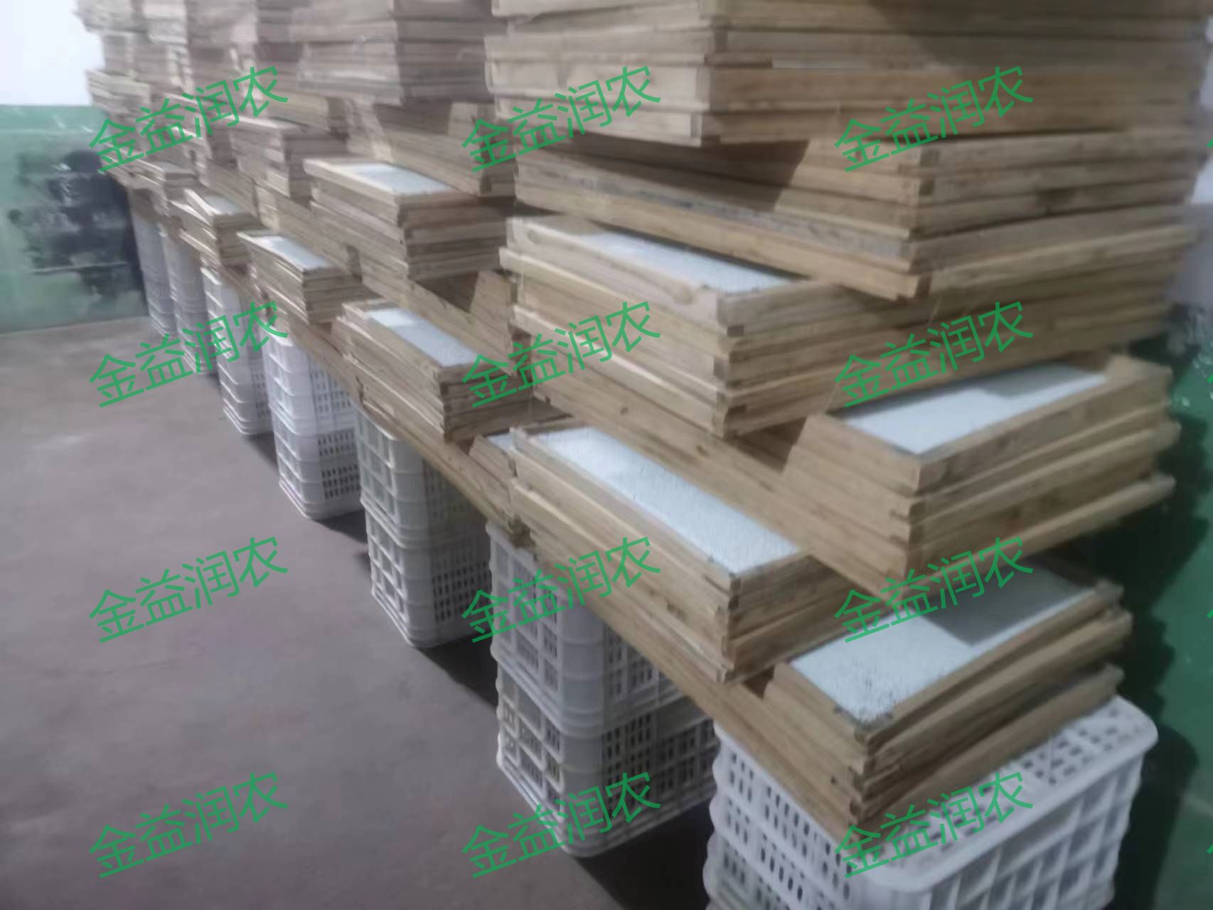 专业生产昆虫信息素性诱芯诱捕器