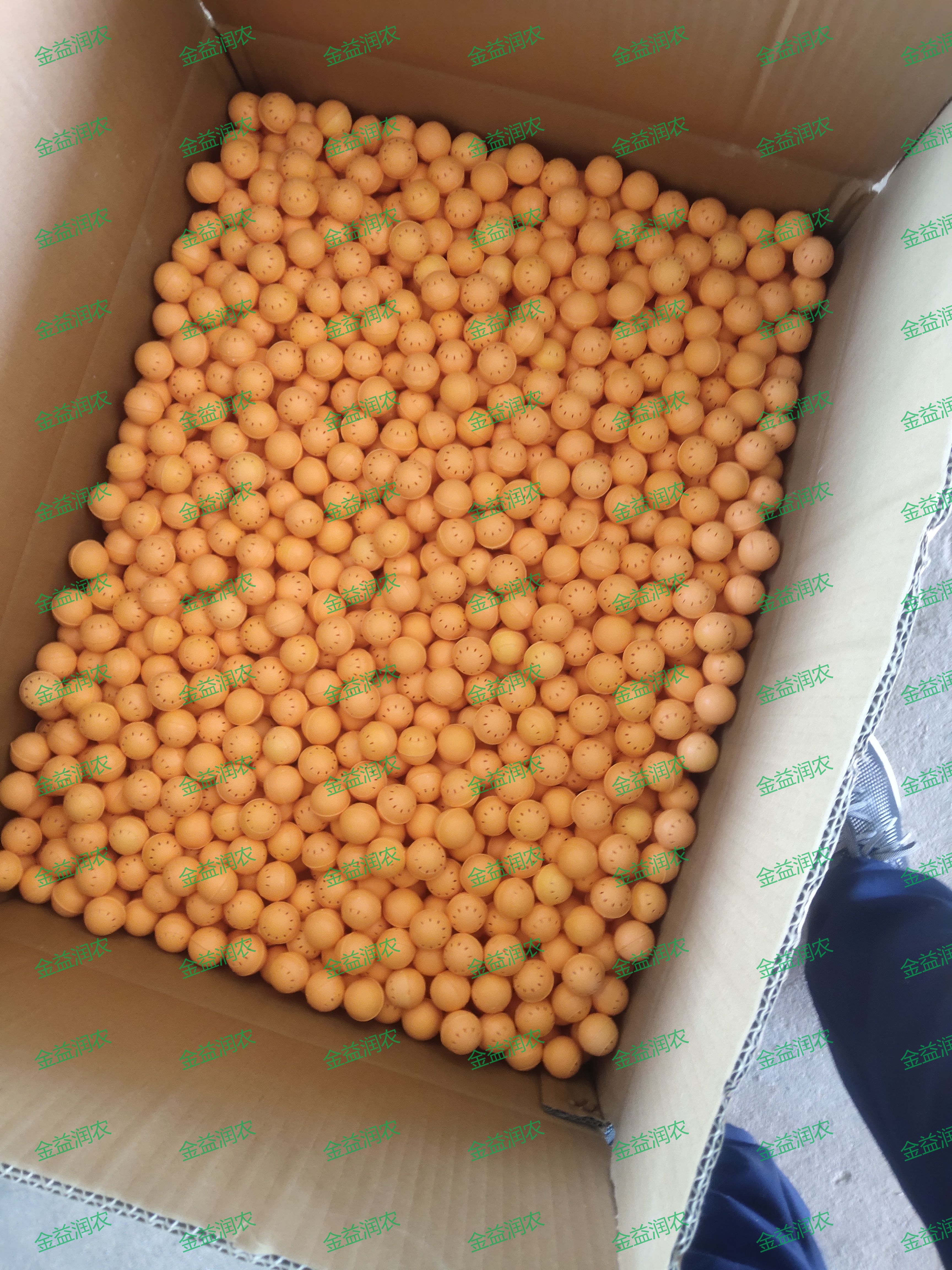 专业生产昆虫信息素性诱芯诱捕器